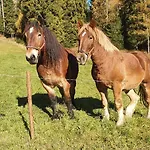 Vakantiehuis W Gorach Pod Jodlami *