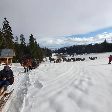 W Gorach Pod Jodlami Vakantiehuis Nowy Targ