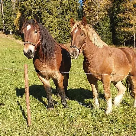 Casa vacanze W Gorach Pod Jodlami *