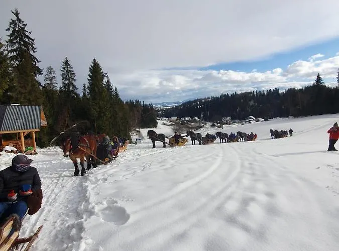 W Gorach Pod Jodlami Feriehus Nowy Targ